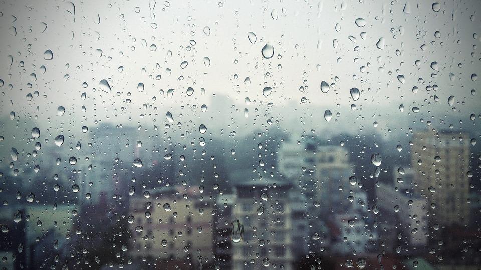 Reflexiones en un viernes lluvioso